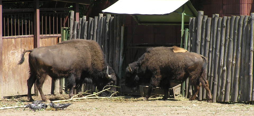 攻击网站在线工具